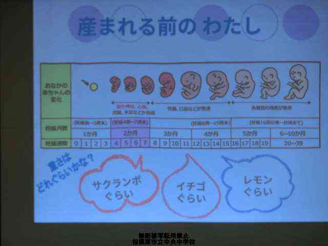s-CIMG3765