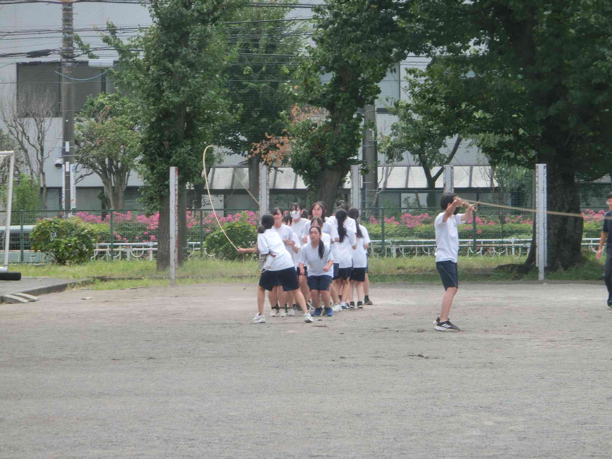 CIMG0245