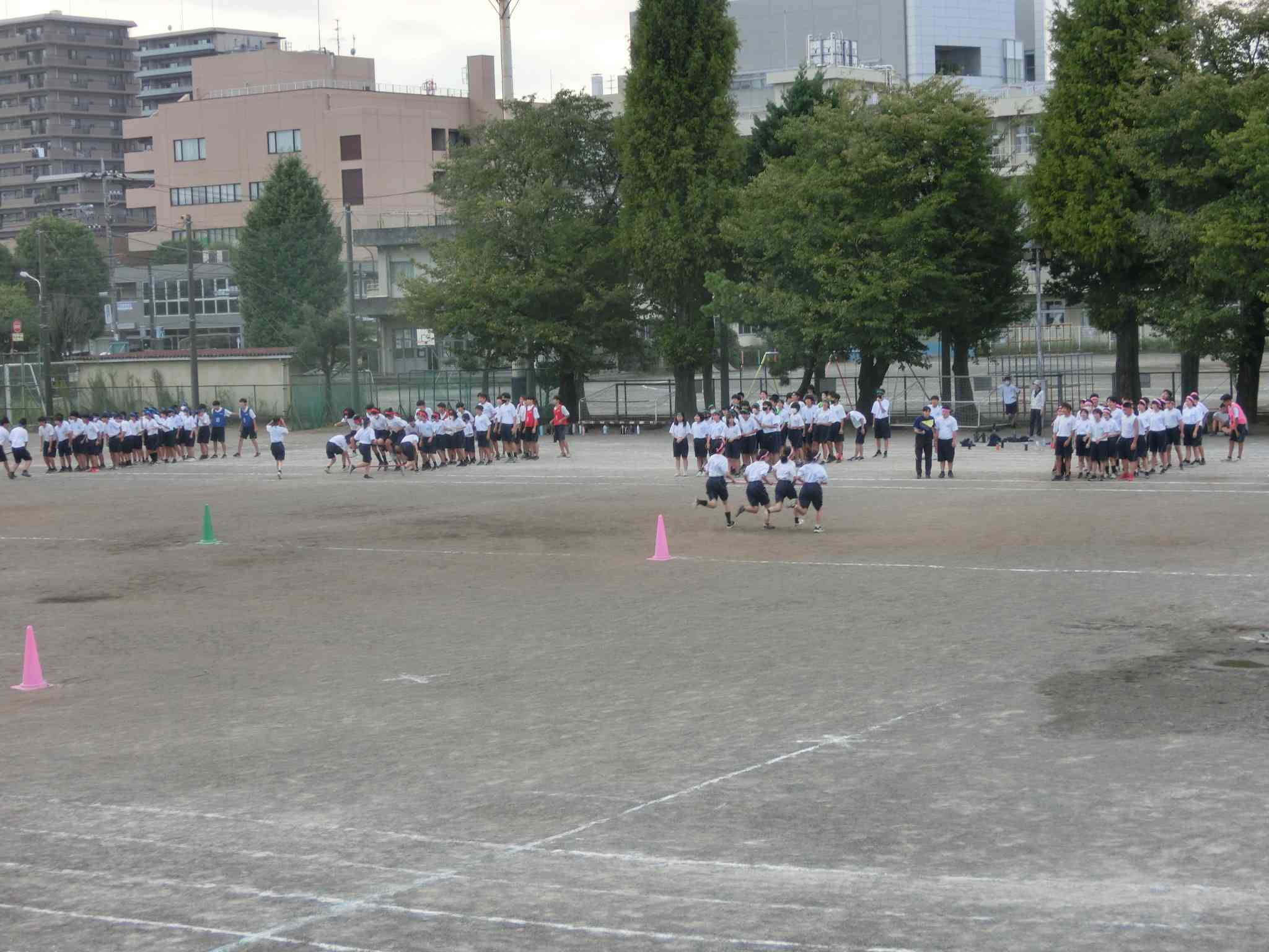 CIMG1287