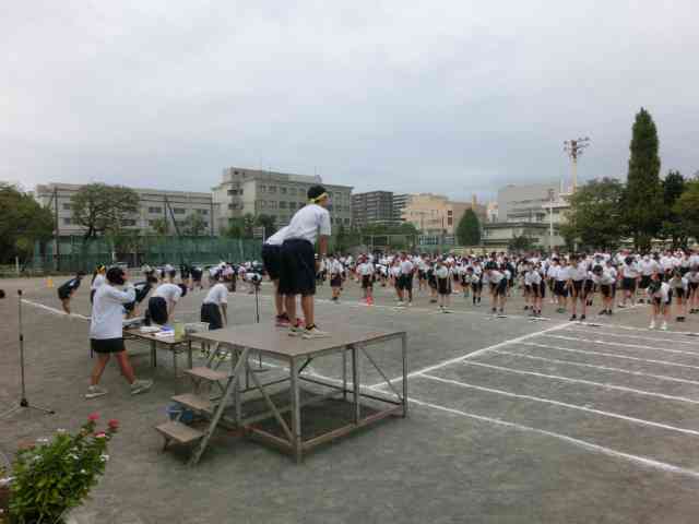 CIMG1774